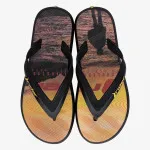 RIDER RIDER R1 ENERGY INF 