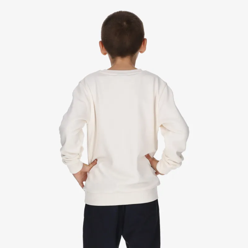 CHAMPION SKATE SWEATER B