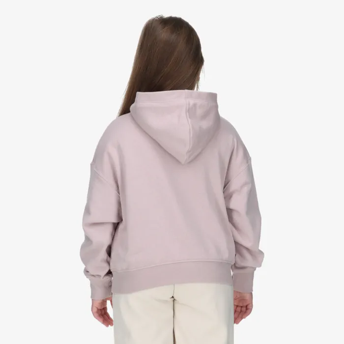 JORDAN JDG WJ BRKN FT PO HOODIE 