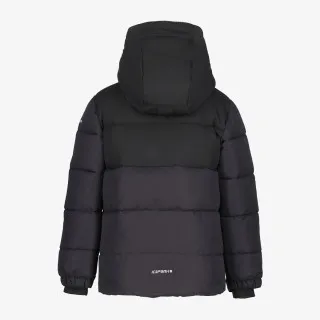ICEPEAK ICEPEAK LOUIN JR 