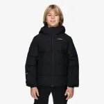 ICEPEAK LOUIN JR 