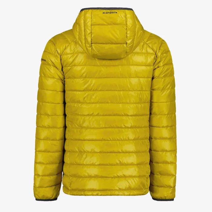ICEPEAK M DOWNLOOK JACKET BAGLEY 