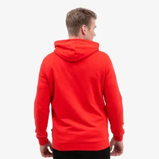 PUMA ESS SMALL LOGO HOODIE