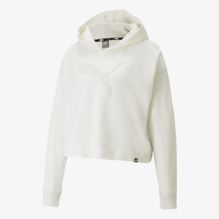 PUMA POWER SUMMER GRAPHIC HOODIE TR 