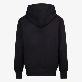 JORDAN JDB MJ PSG STMT FLC PO 