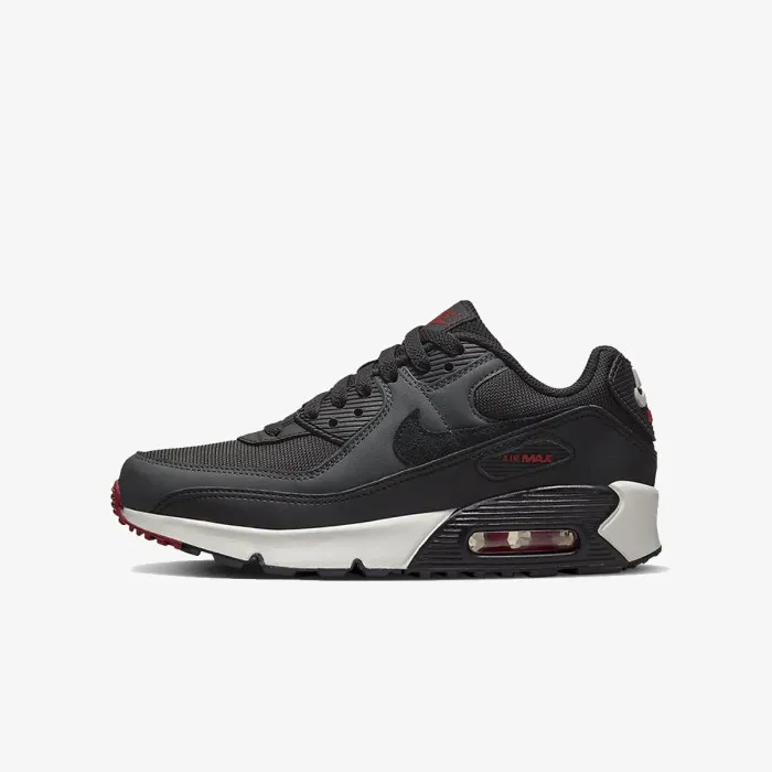 Nike AIR MAX 90 LTR GS 