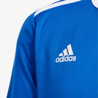 adidas C/O ENTRADA 18 JSYY