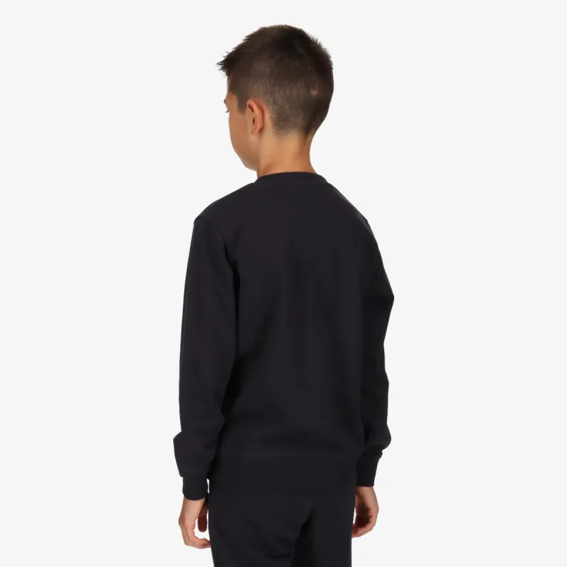 CHAMPION ROCH INSPIRED 