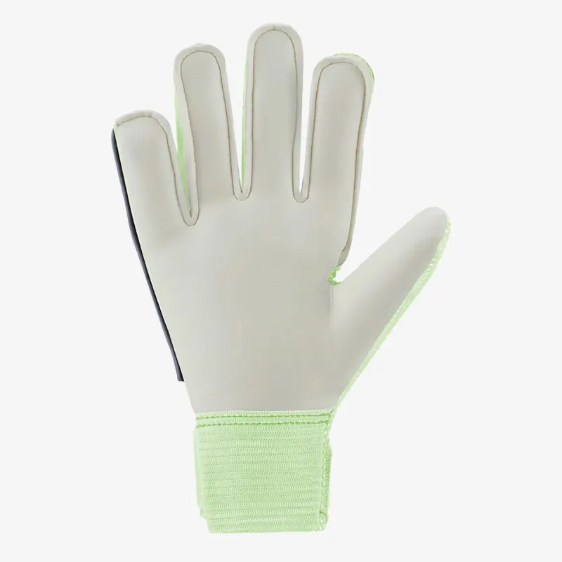 Nike Goalkeeper Match
