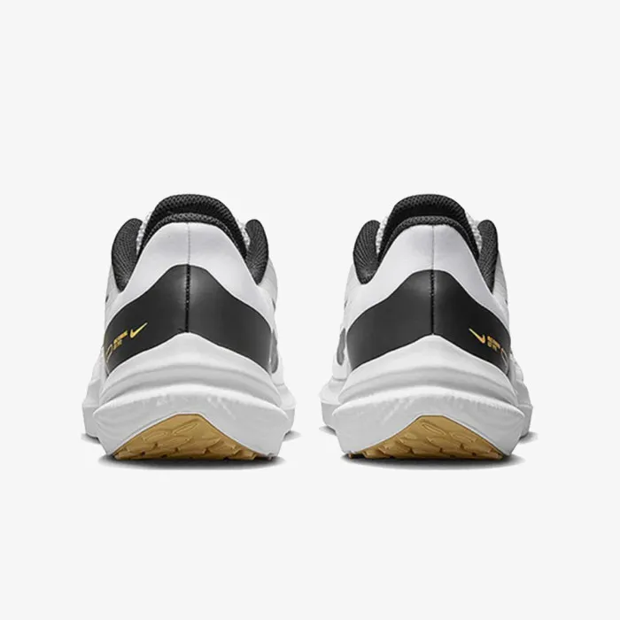 Nike WMNS NIKE AIR WINFLO 9 