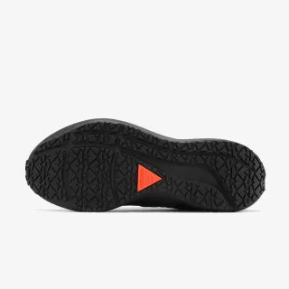Nike W AIR ZOOM PEGASUS 39 SHIELD