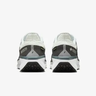 Nike AIR WINFLO 11 GTX