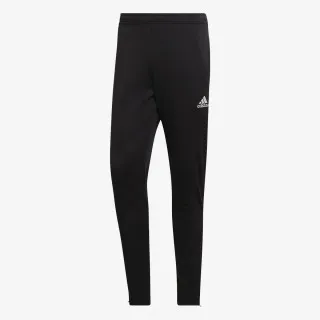 adidas ENT22 TR PNT
