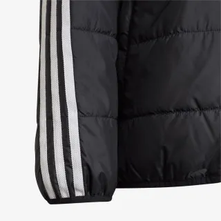 adidas ADICOLOR