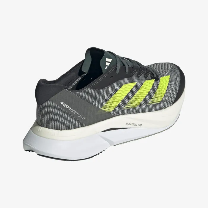adidas ADIZERO BOSTON 12 M 