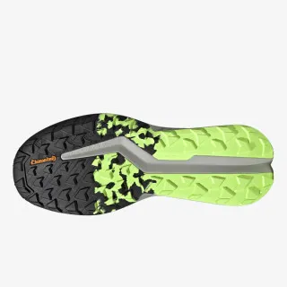 adidas TERREX SOULSTRIDE FLOW GTX