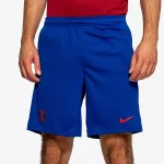 Nike PSG M NK DF STRK SHORT KZ 