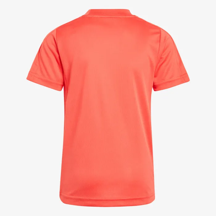 adidas LB DY SM T 