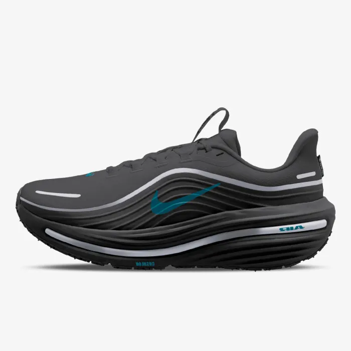 Nike NIKE AIR WINFLO 12 GTX 