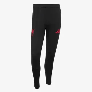 adidas LFC TR PNT 
