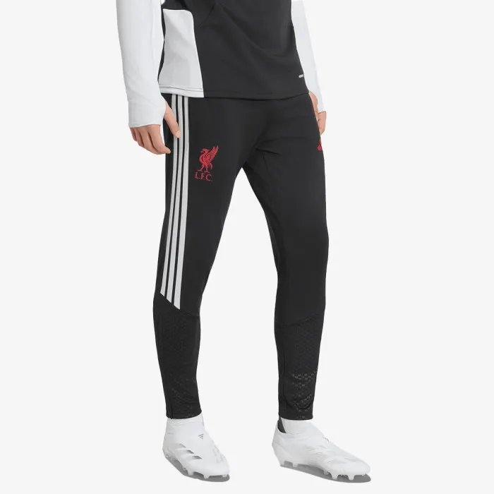 adidas LFC TR PNT 
