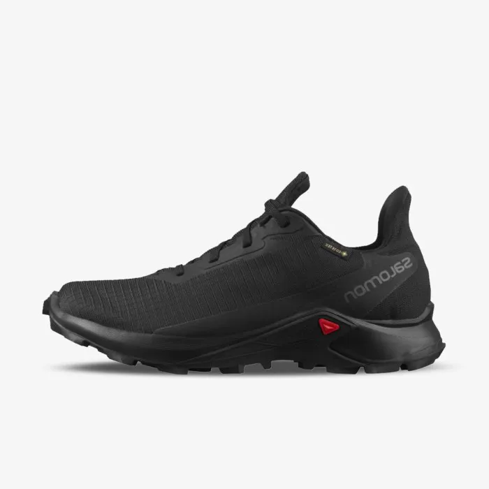 SALOMON ALPHACROSS 3 GTX W 