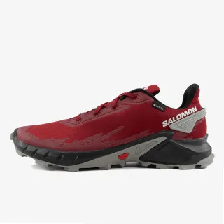SALOMON ALPHACROSS 4 GTX