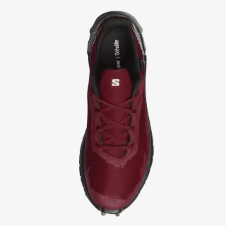 SALOMON ALPHACROSS 4 GTX