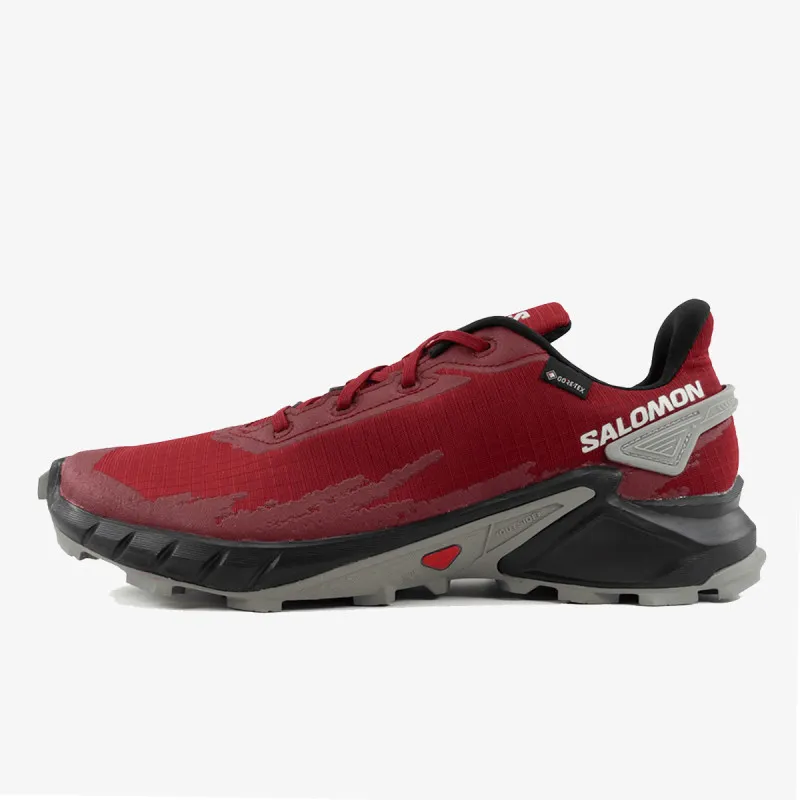 SALOMON ALPHACROSS 4 GTX