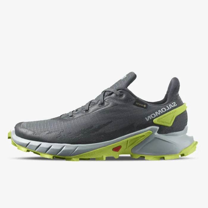 SALOMON ALPHACROSS 4 GTX 