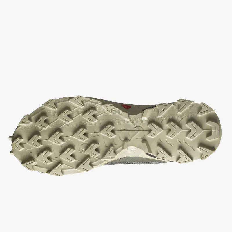 SALOMON ALPHACROSS 4 GTX