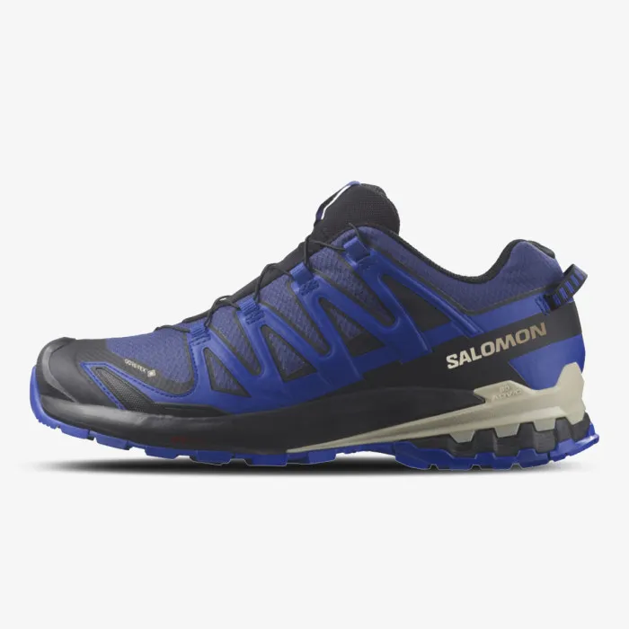 SALOMON XA PRO 3D V9 GTX 