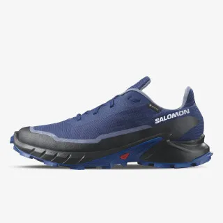SALOMON ALPHACROSS 5 GTX