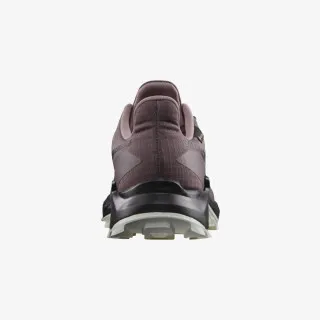 SALOMON ALPHACROSS 5 GTX W
