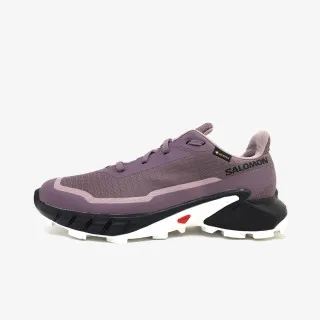 SALOMON ALPHACROSS 5 GTX W
