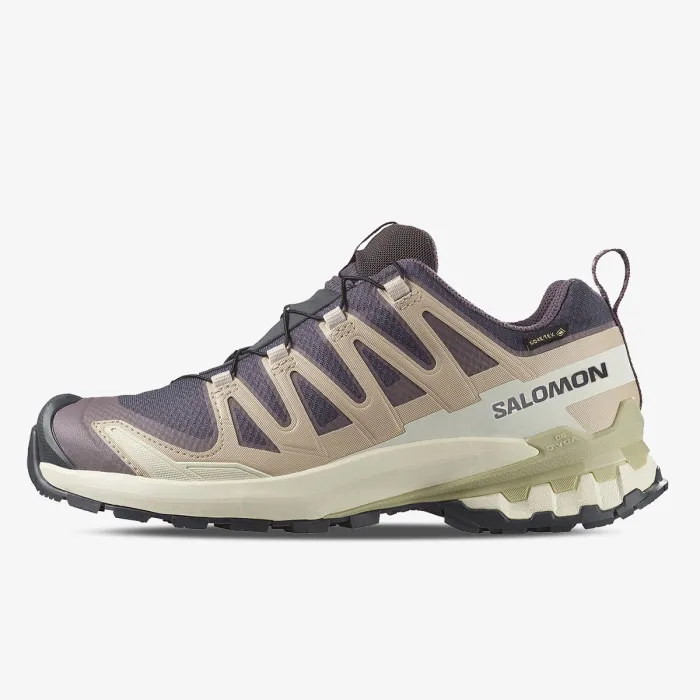 SALOMON XA PRO 3D V9 GTX W 