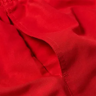 Nike 5  Volley Short 