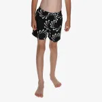 Nike 4 inch Volley Short 
