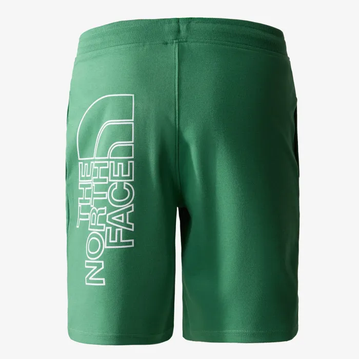 THE NORTH FACE Men’s Graphic Short Light-Eu 