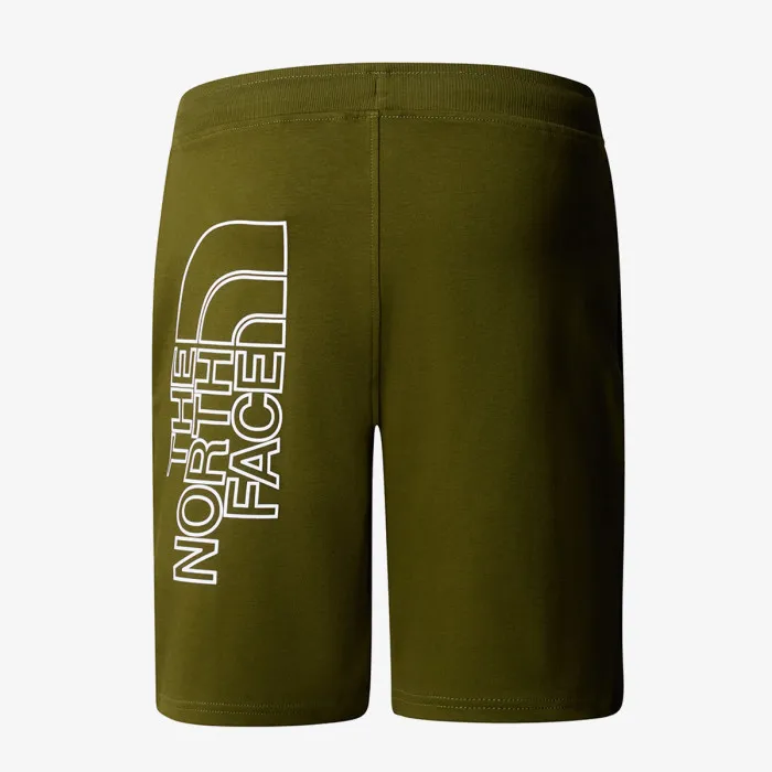 THE NORTH FACE M GRAPHIC SHORT LIGHT-EU 