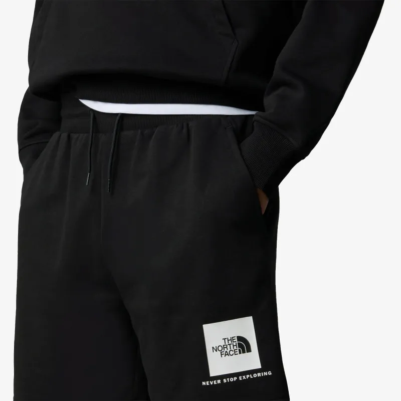 THE NORTH FACE Men’s Box Nse Regular Short 