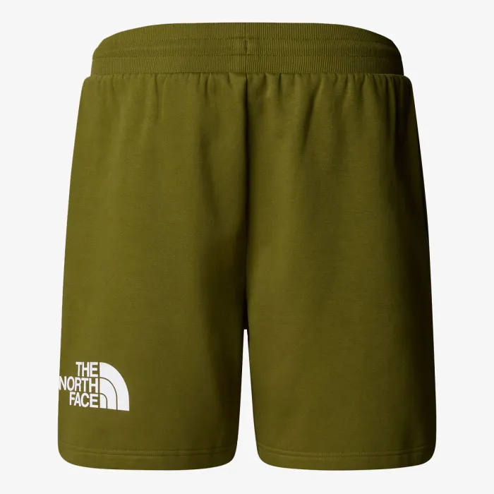 THE NORTH FACE Men’s Easy Regular Short 