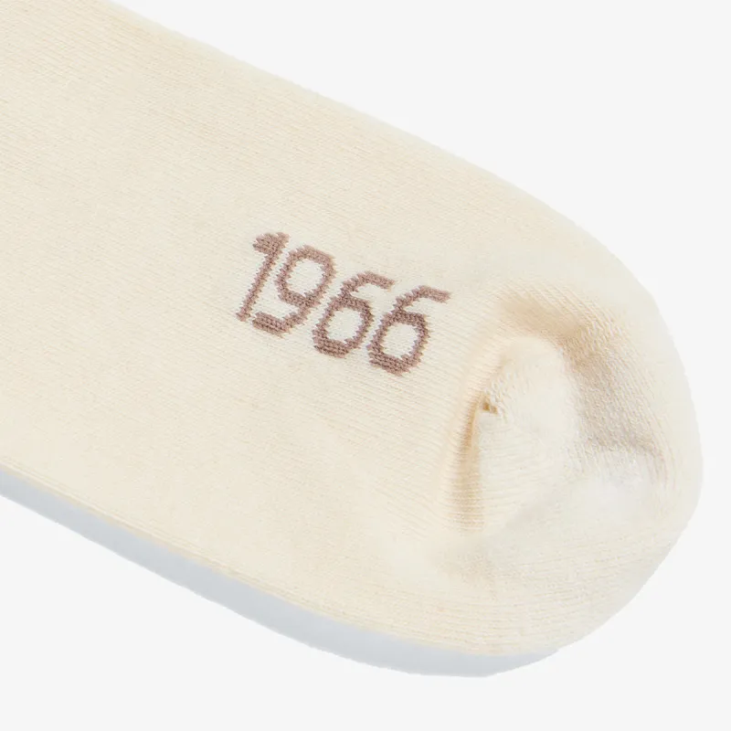 THE NORTH FACE EVERYDAY CREW HERITAGE STRIPE SOCK -2P 
