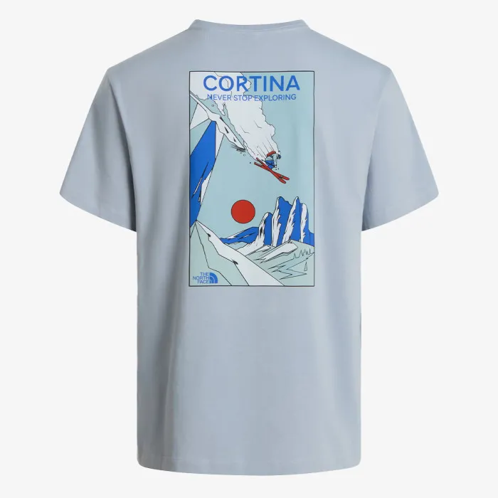 THE NORTH FACE MOUNTAIN CELEBRATION REGULAR SHORT 