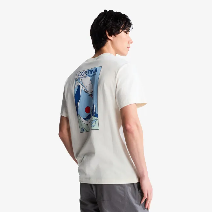 THE NORTH FACE MOUNTAIN CELEBRATION REGULAR SHORT 