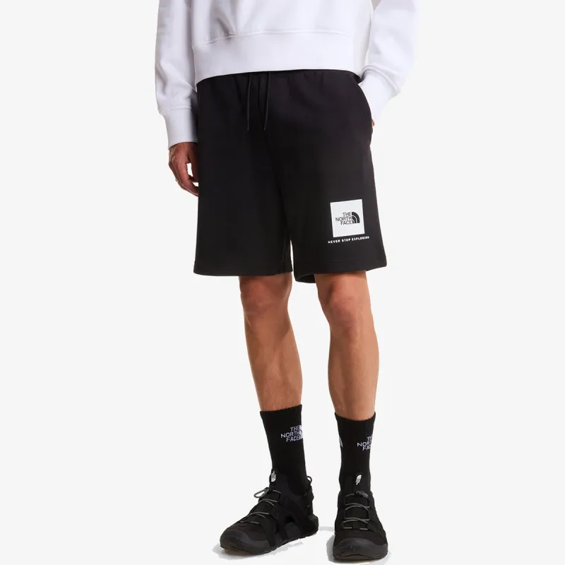 THE NORTH FACE BOX NSE LIGHT REGULAR SHORTS 