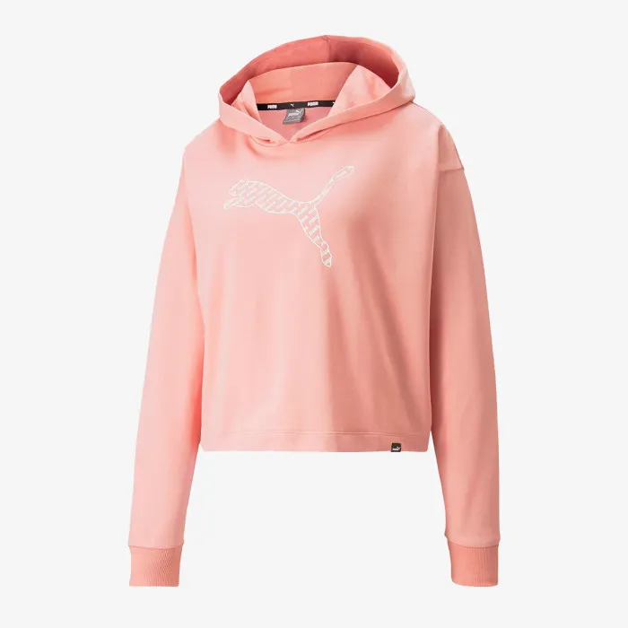 PUMA POWER SUMMER GRAPHIC HOODIE TR 