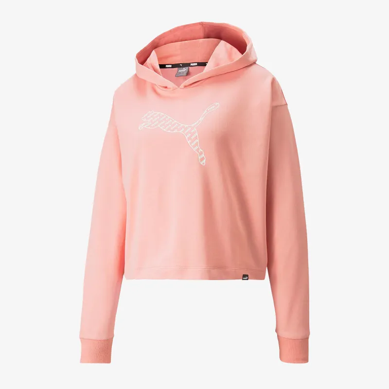 PUMA POWER SUMMER GRAPHIC HOODIE TR