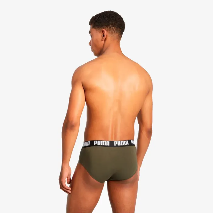 BASIC BRIEF 2P 