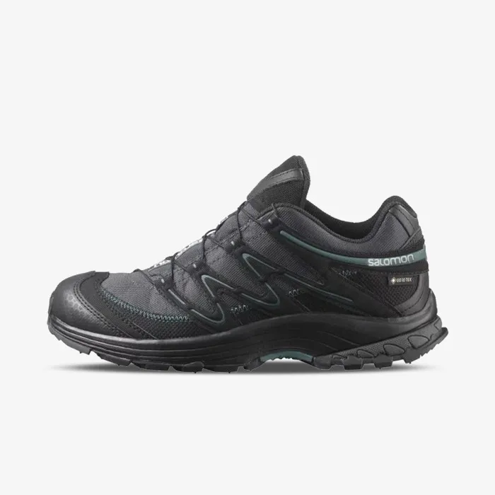 SALOMON XA MOVE GTX W 
